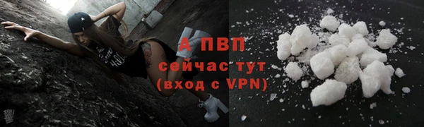 ешки Анжеро-Судженск