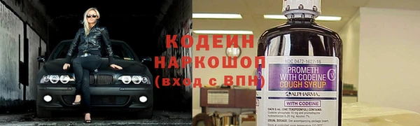 дурь Новодвинск