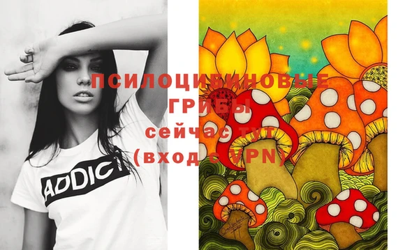наркотики Новозыбков